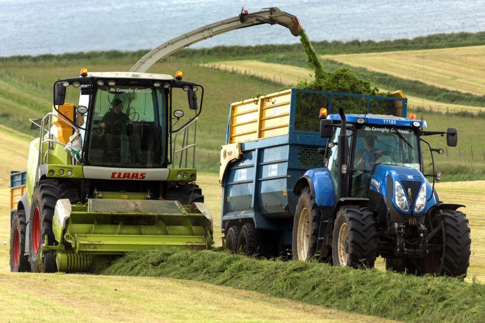 szilazs-silage-betakarítás